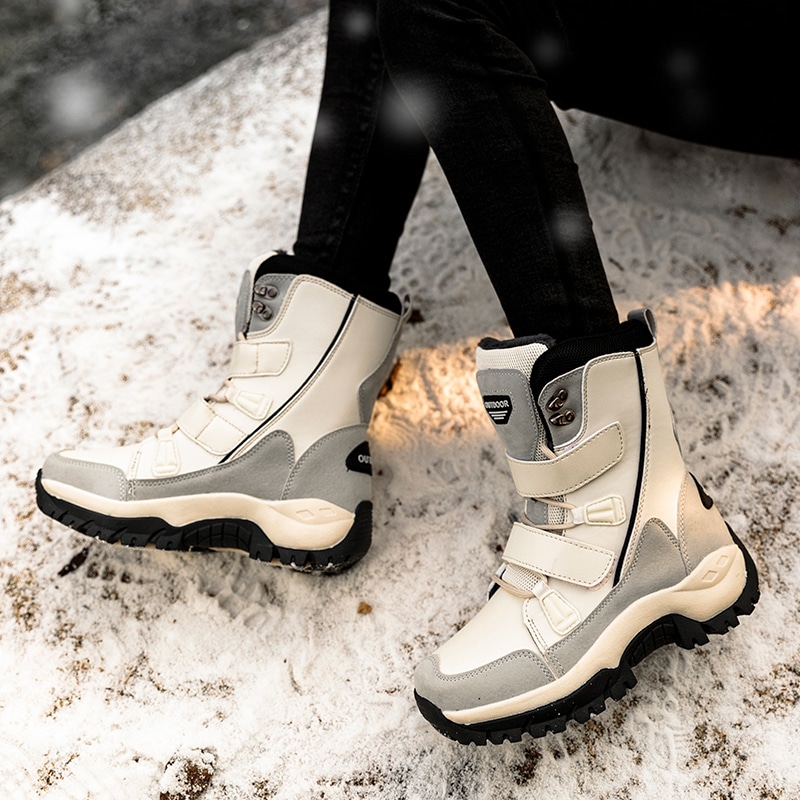 Un allier pour l'hiver